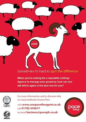 Pace - Advert Design - Southend on SEa